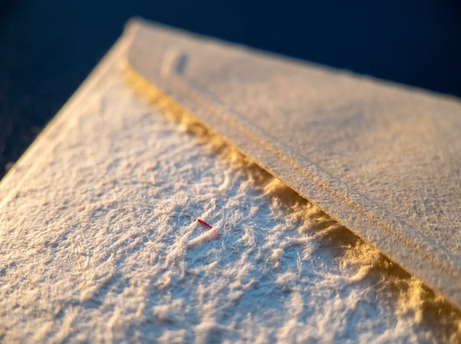 Buste e carta intestata — scatto 2