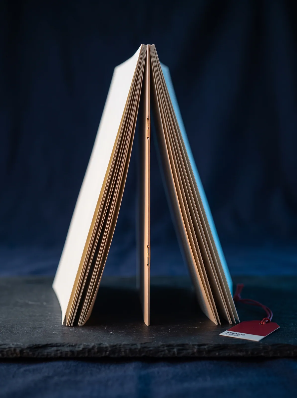 Libretti pinzati