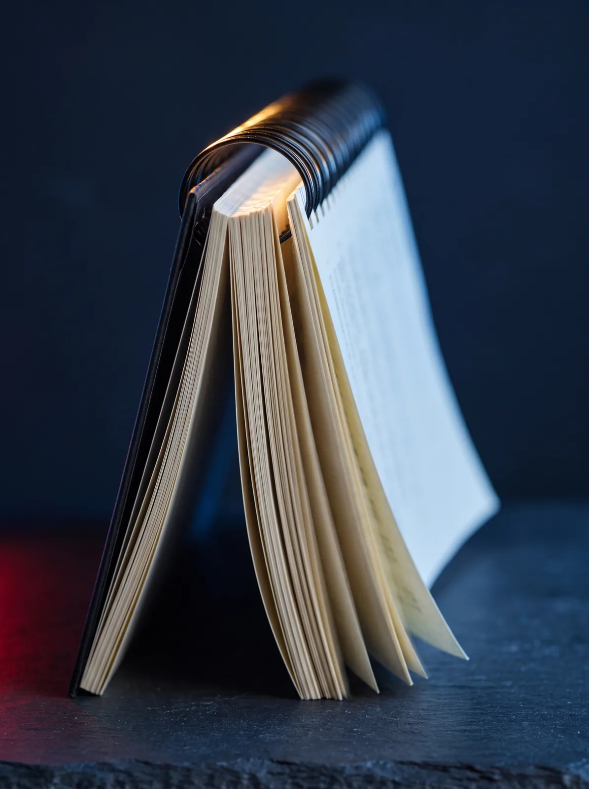 Libri rilegati a spirale